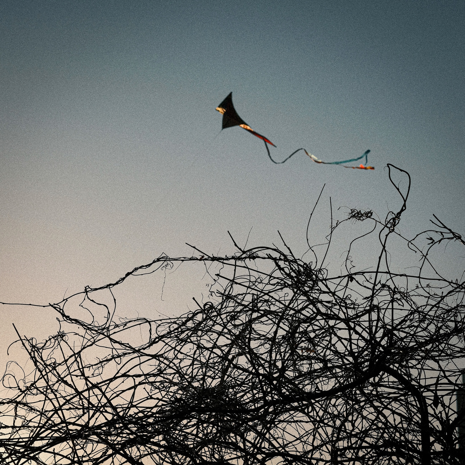 初アルバム／『ａ　ｆｅｗ　ｏｆ　ｍｙ　ｇｈｏｓｔｓ』