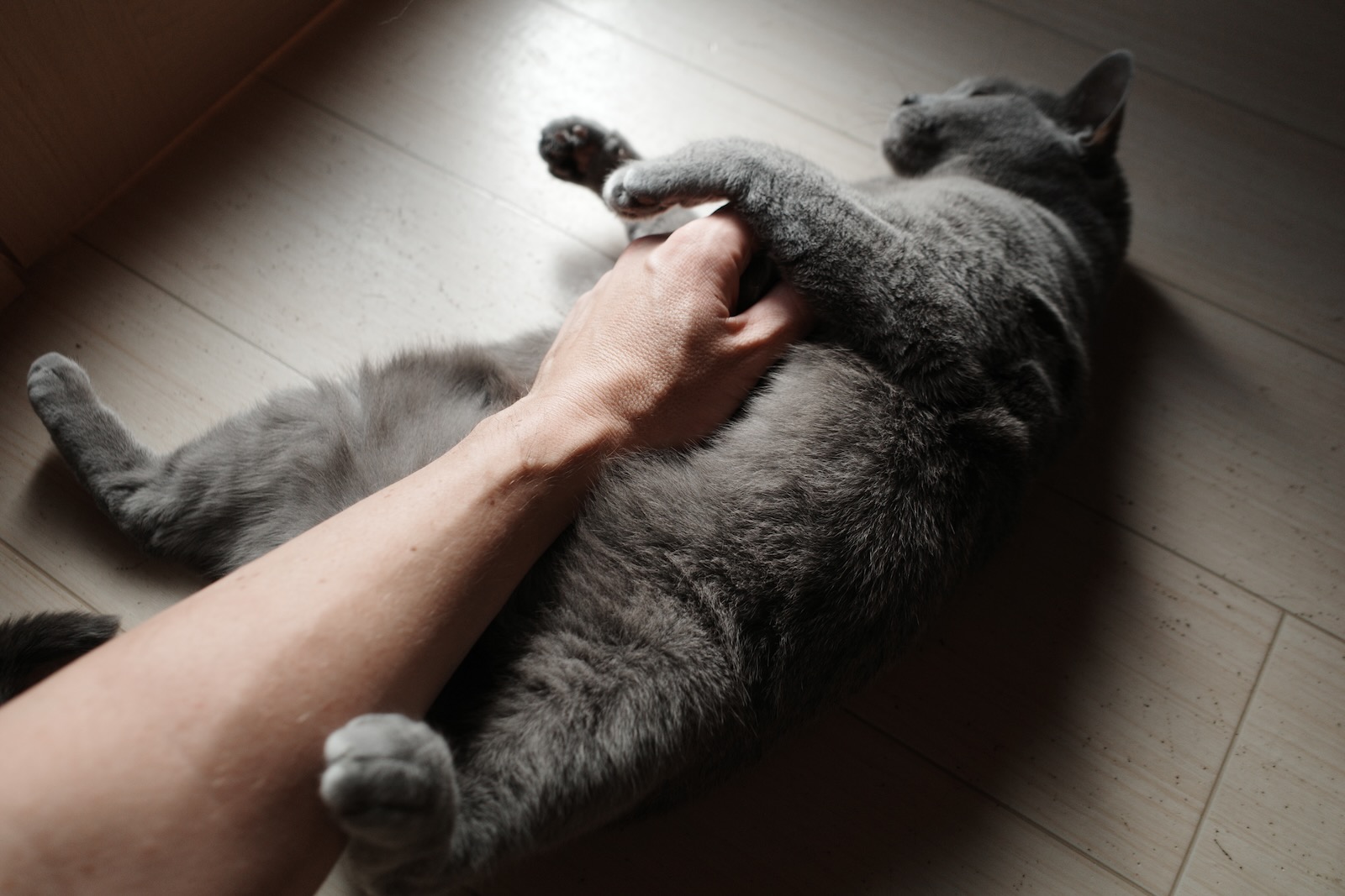梅ちゃん