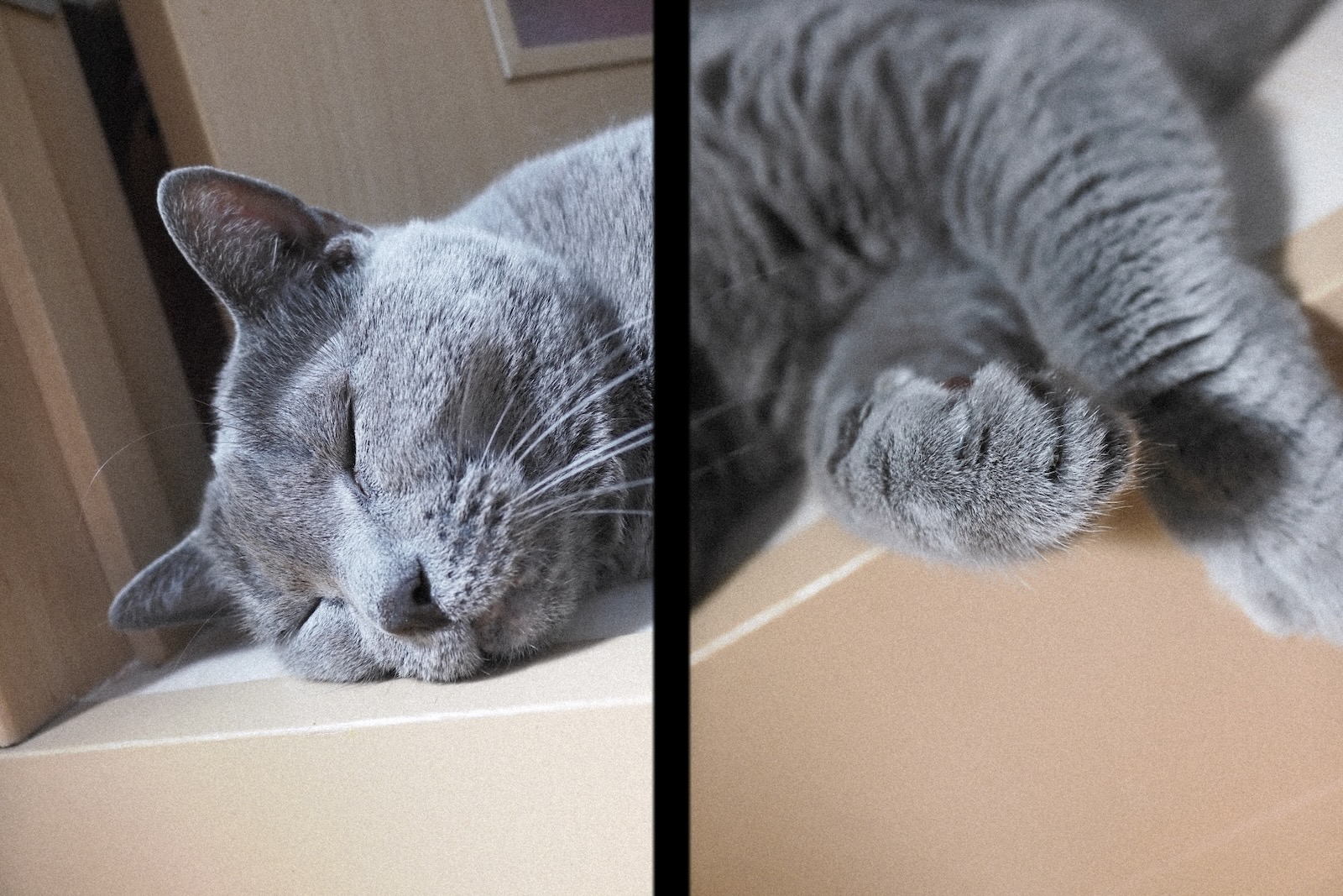 梅ちゃん