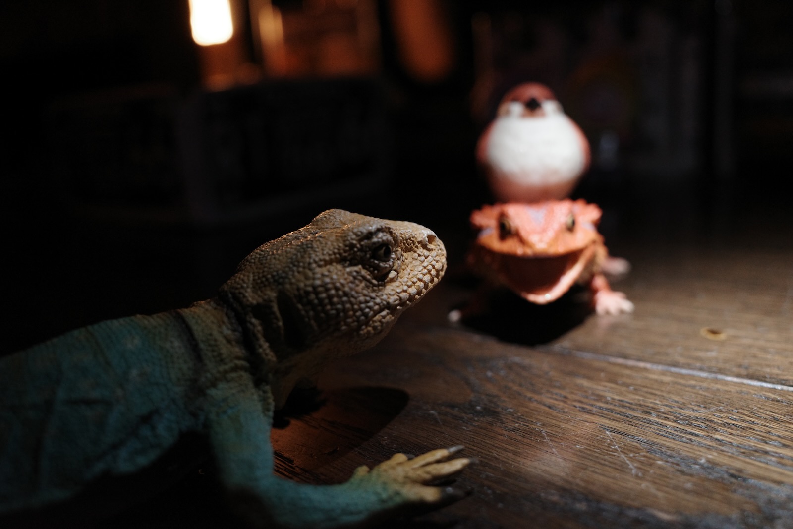 はまこ