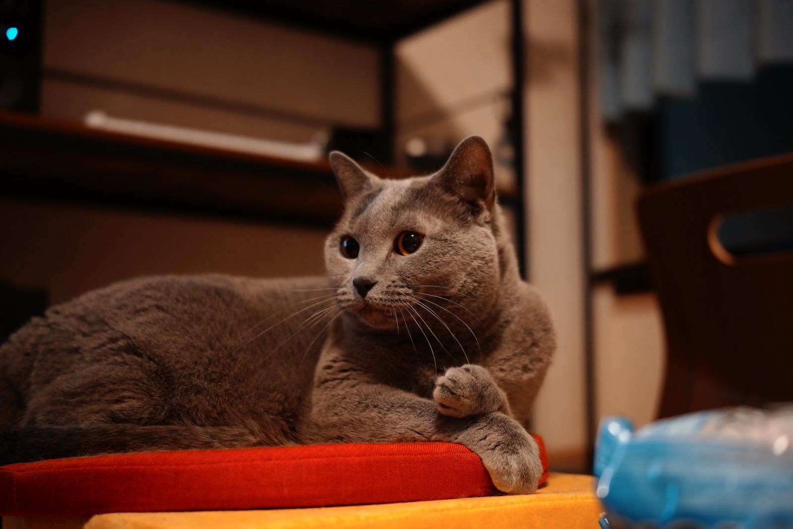 速写