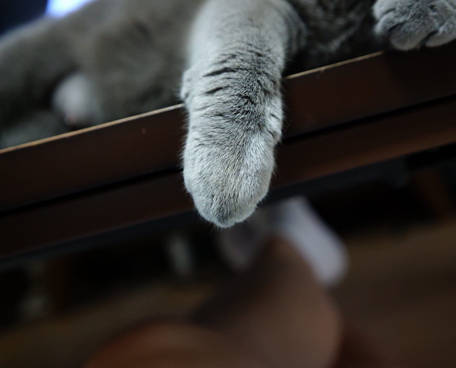 速写