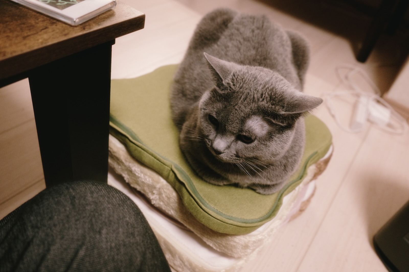 梅ちゃん