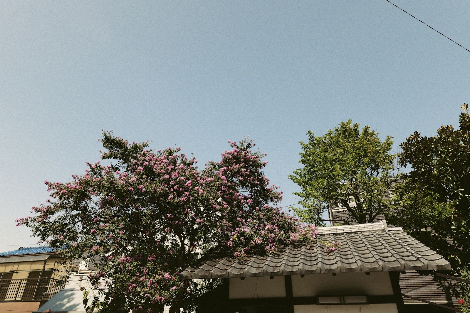 散歩