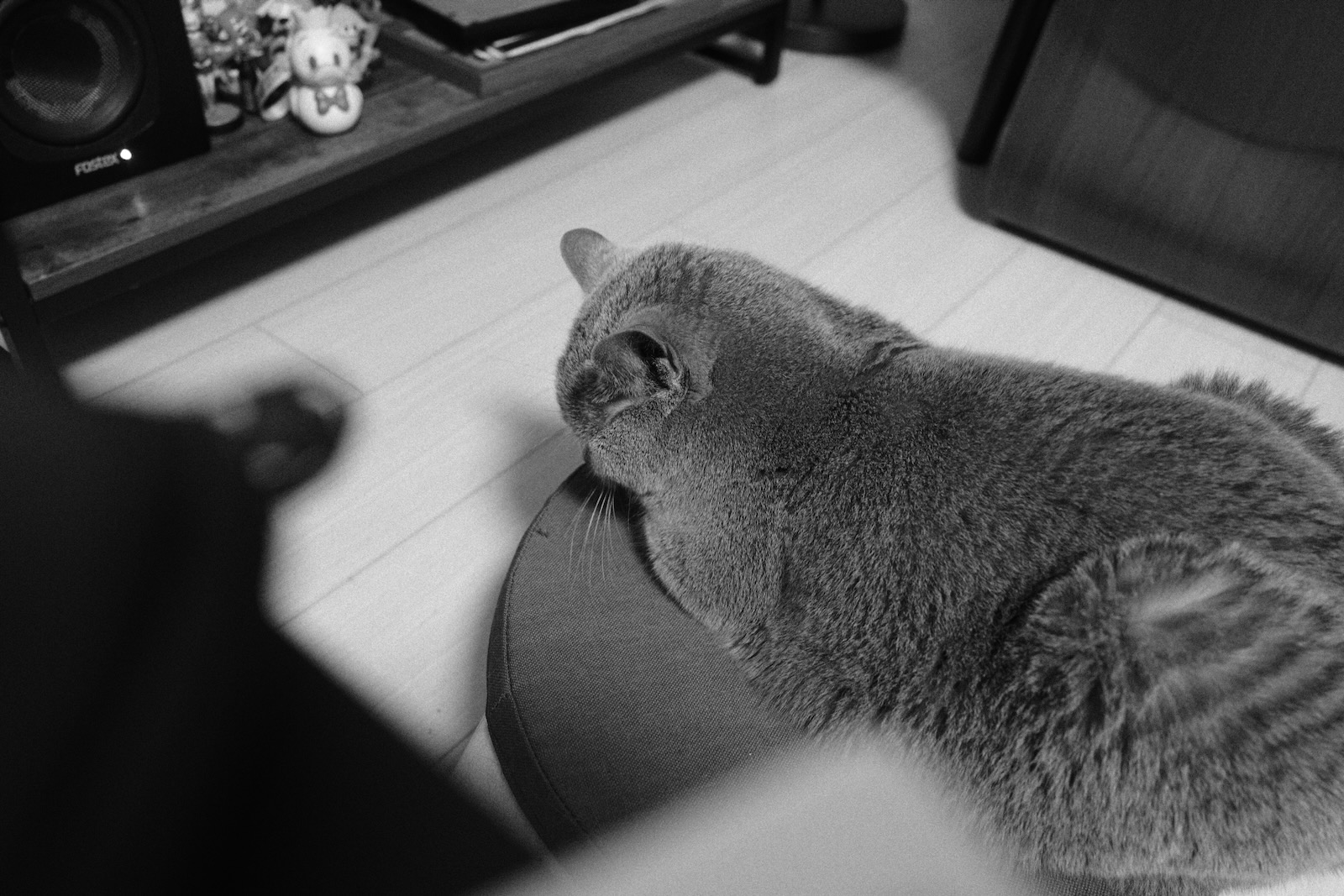 速写