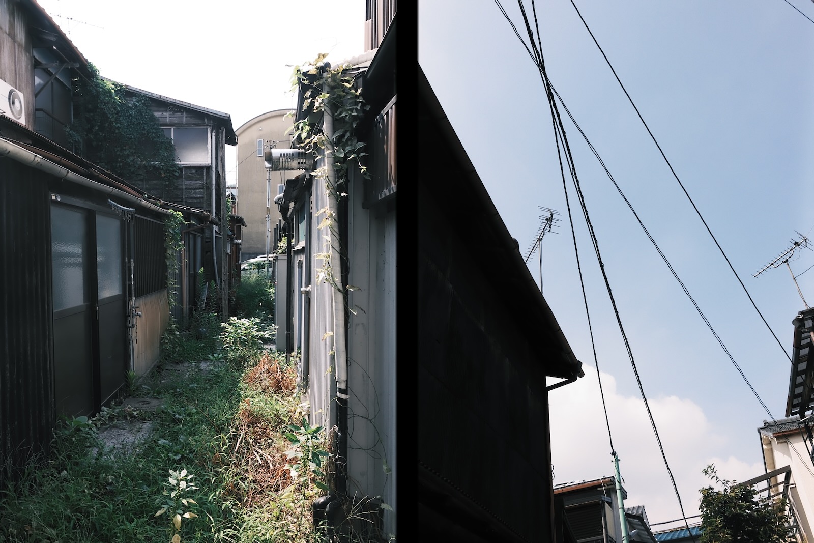 散歩
