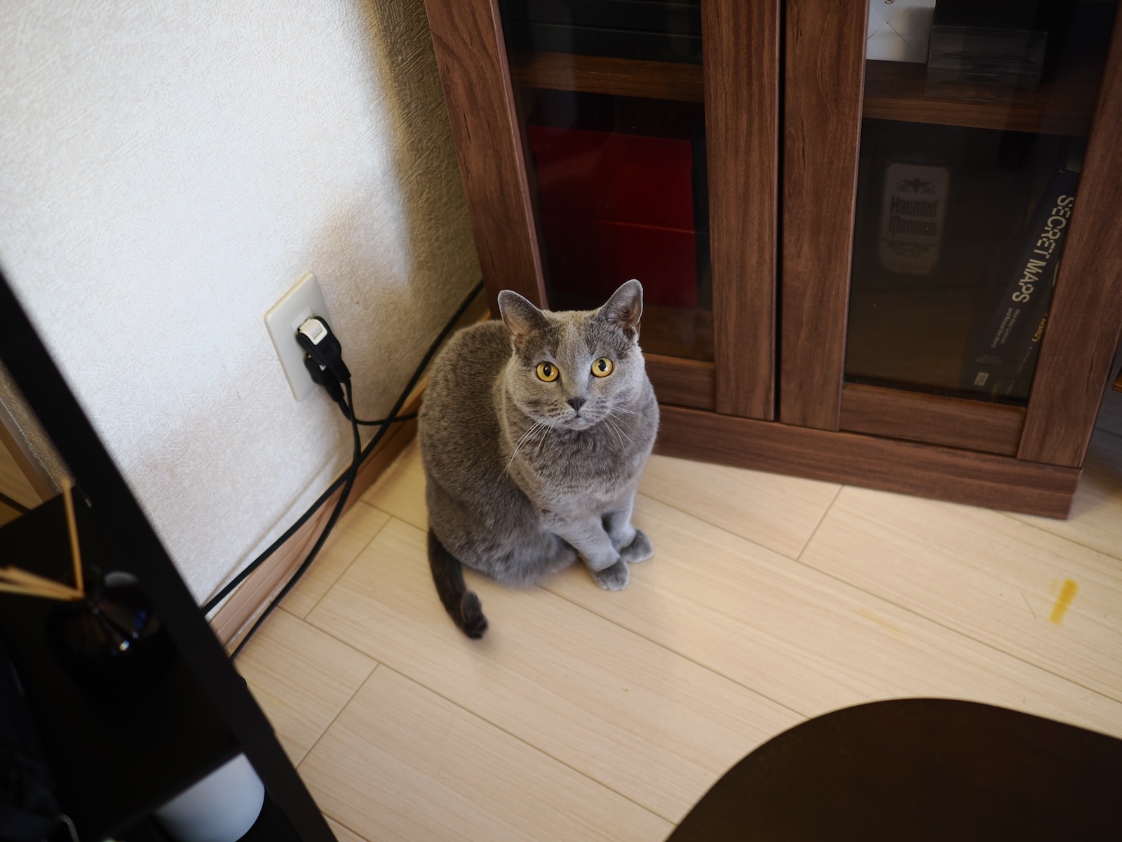 速写