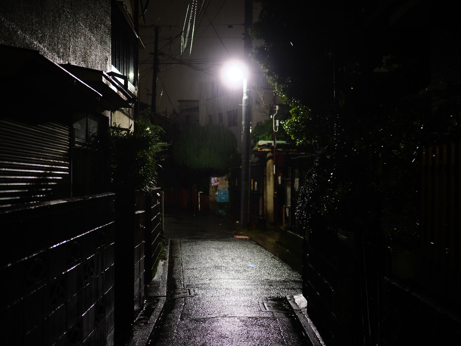 速写