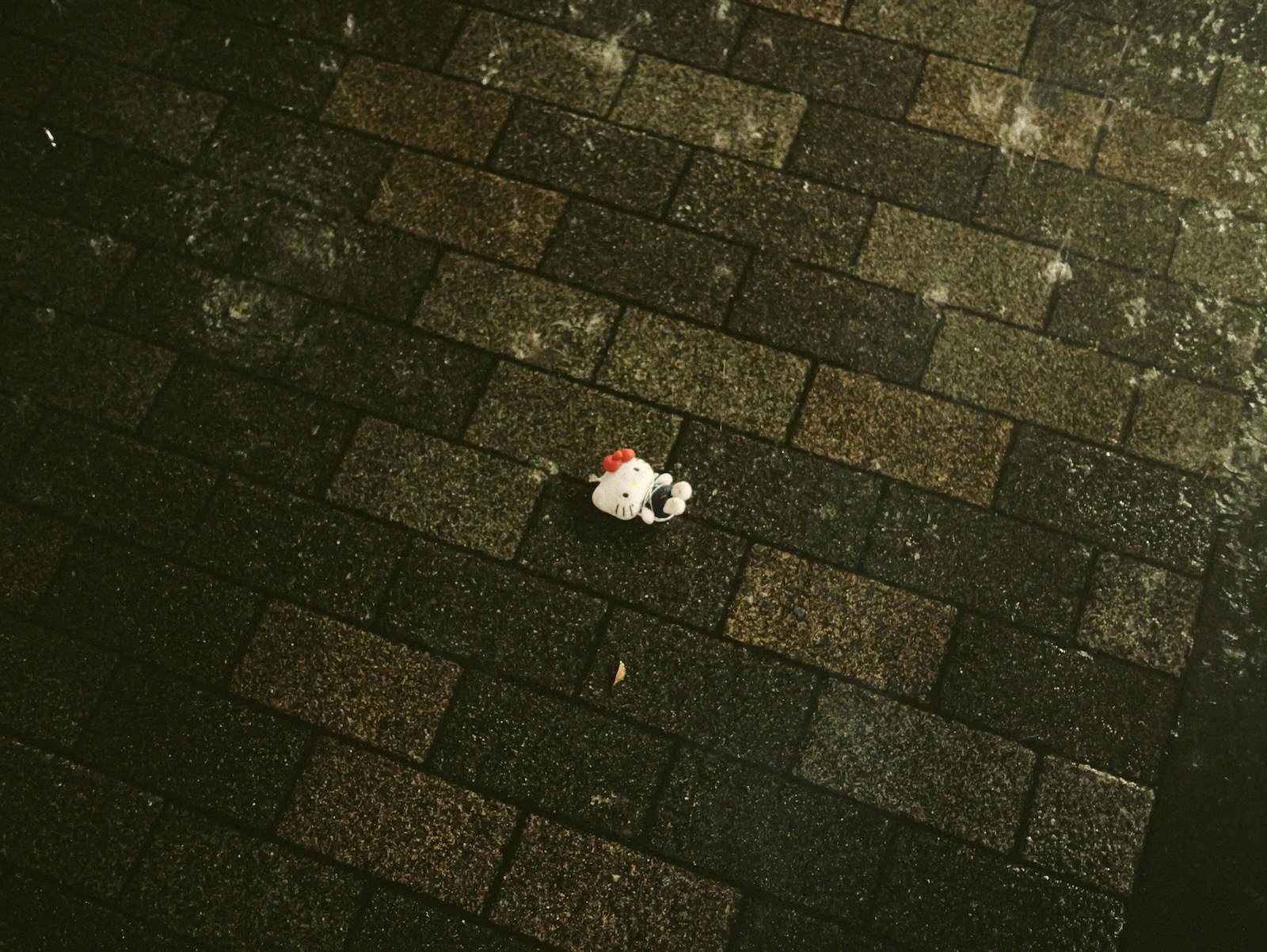 雨