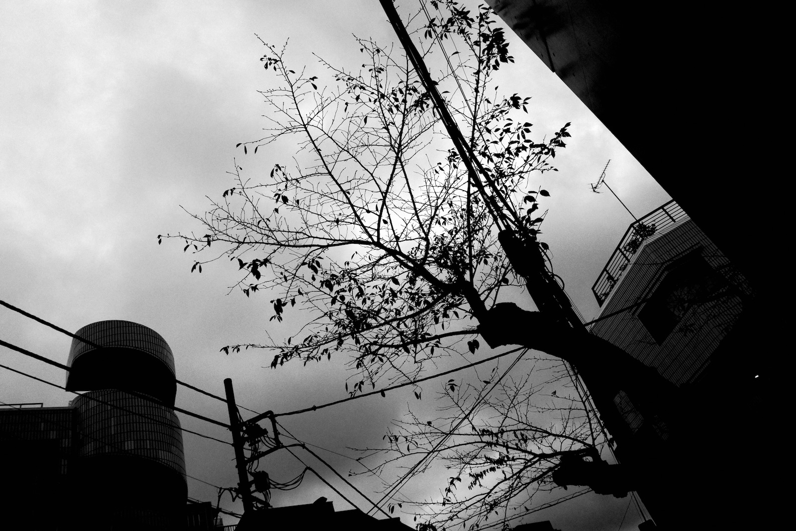 散歩