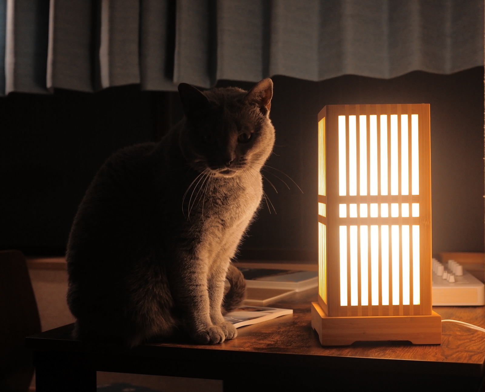 速写