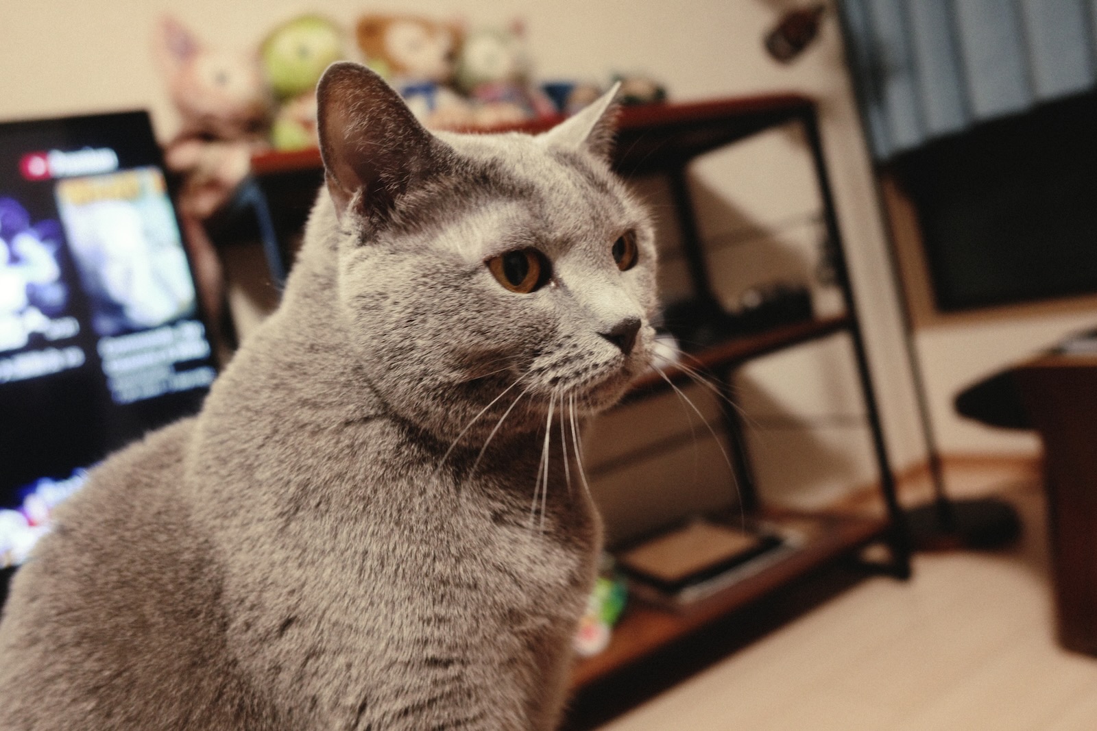 速写