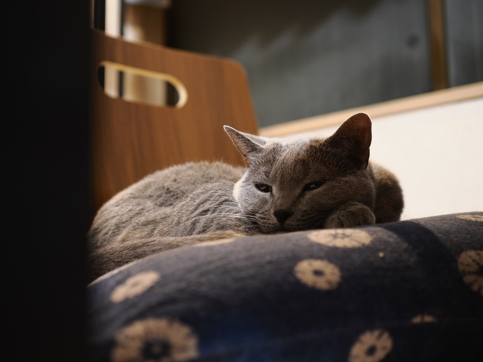 速写