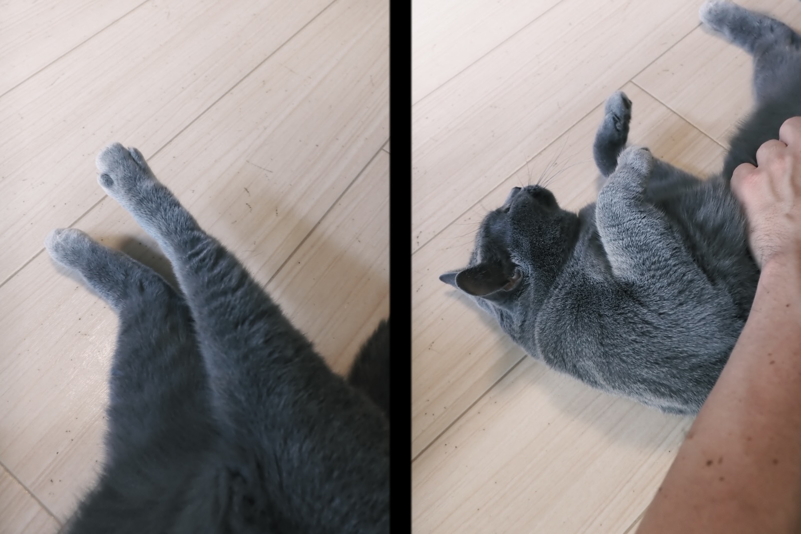 梅ちゃん