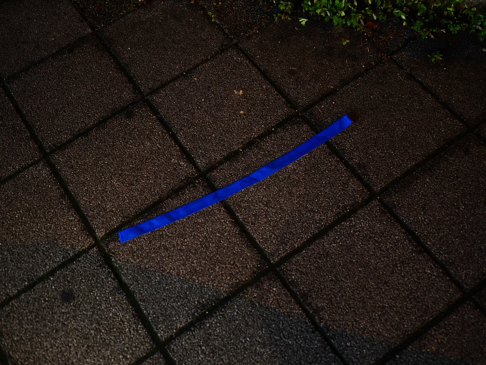 速写