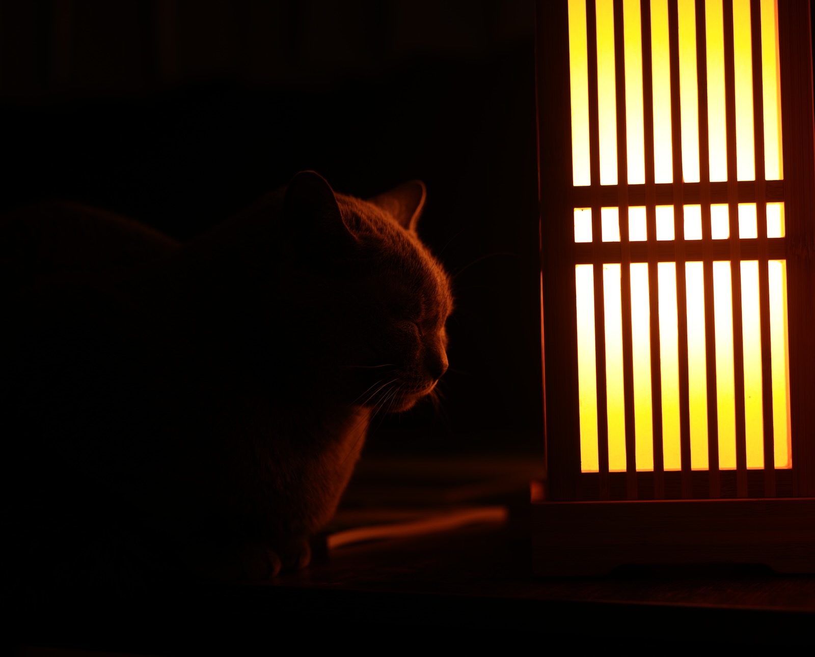 速写