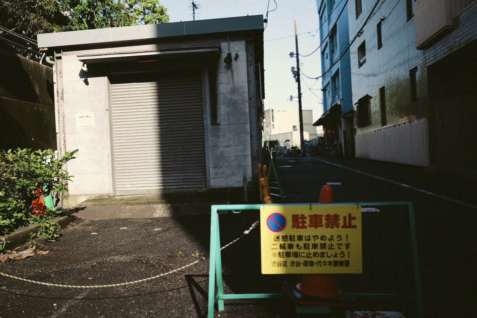速写