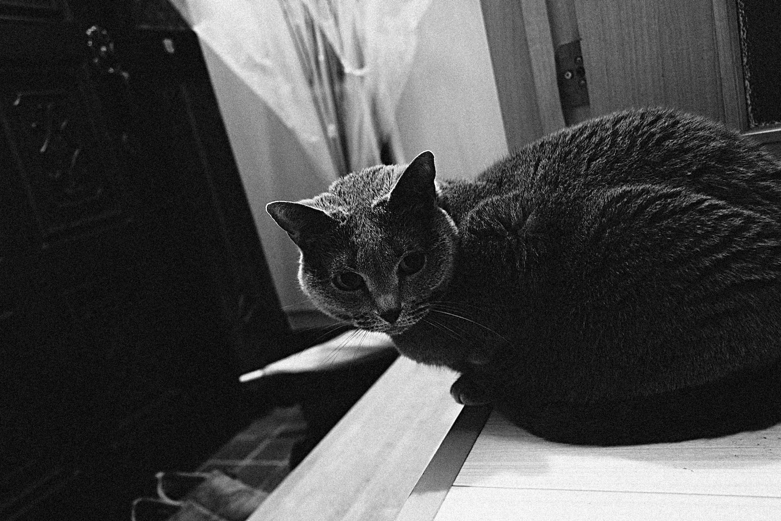 速写