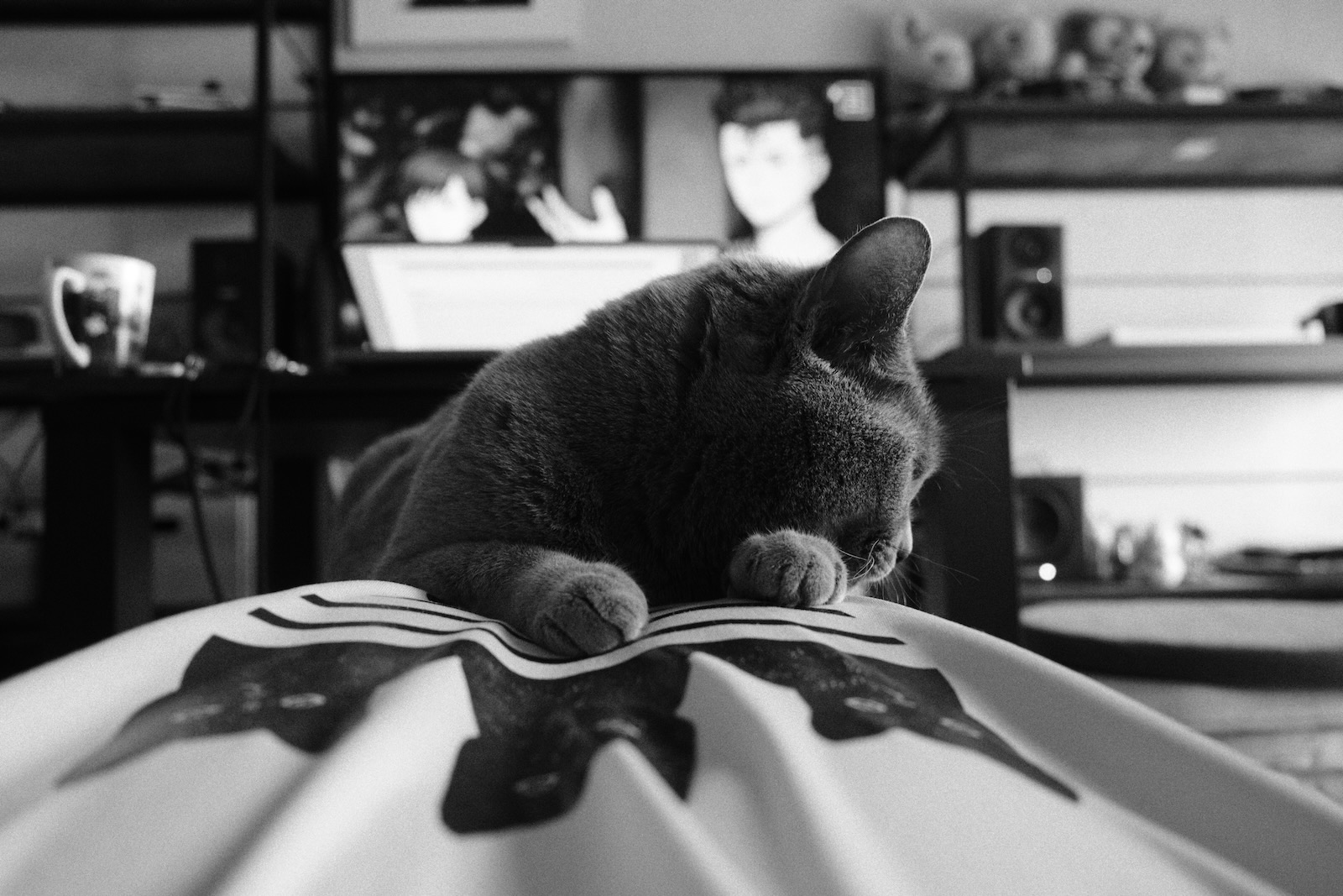 速写