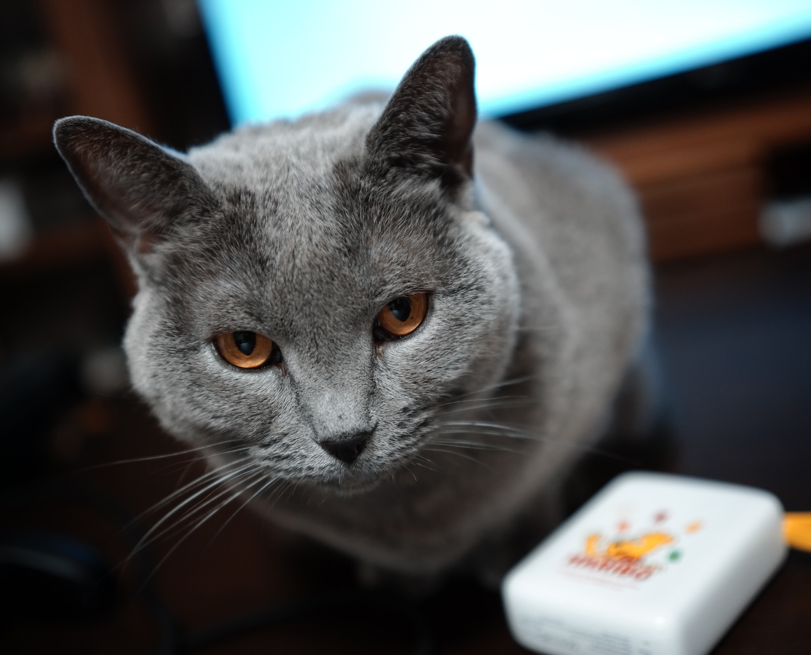 速写