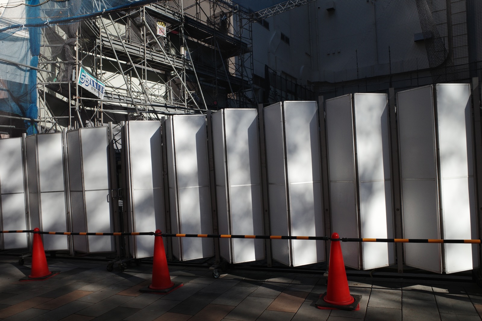 これしか撮らなかったって