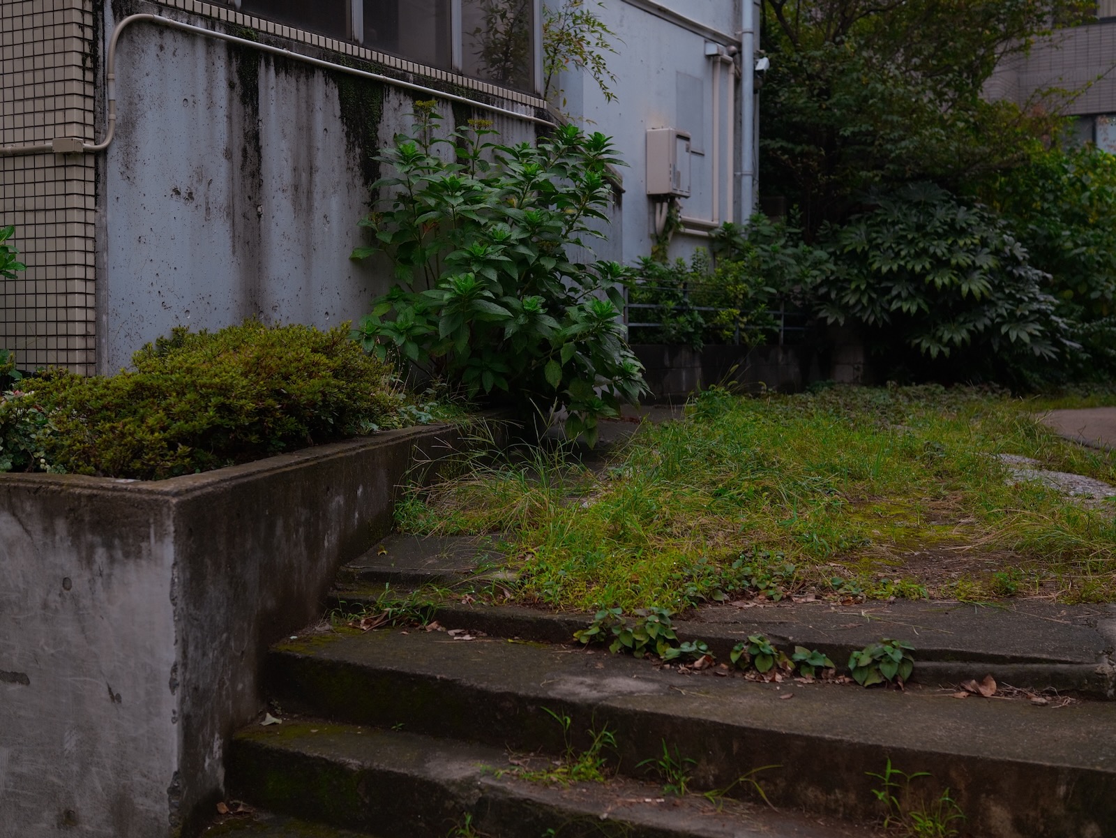 散歩