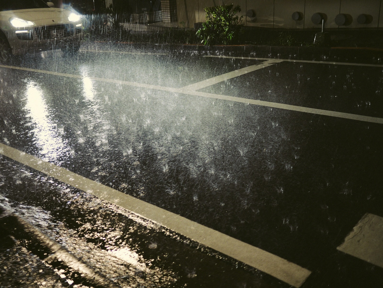 雨