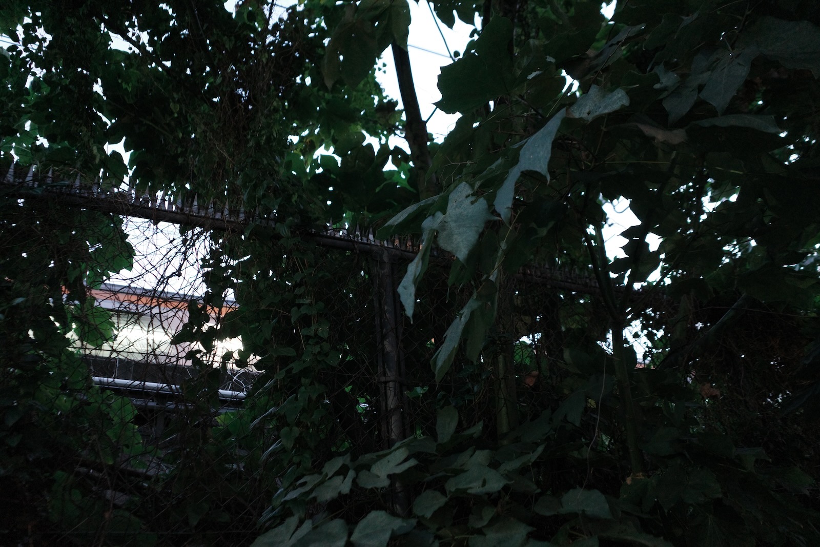 散歩