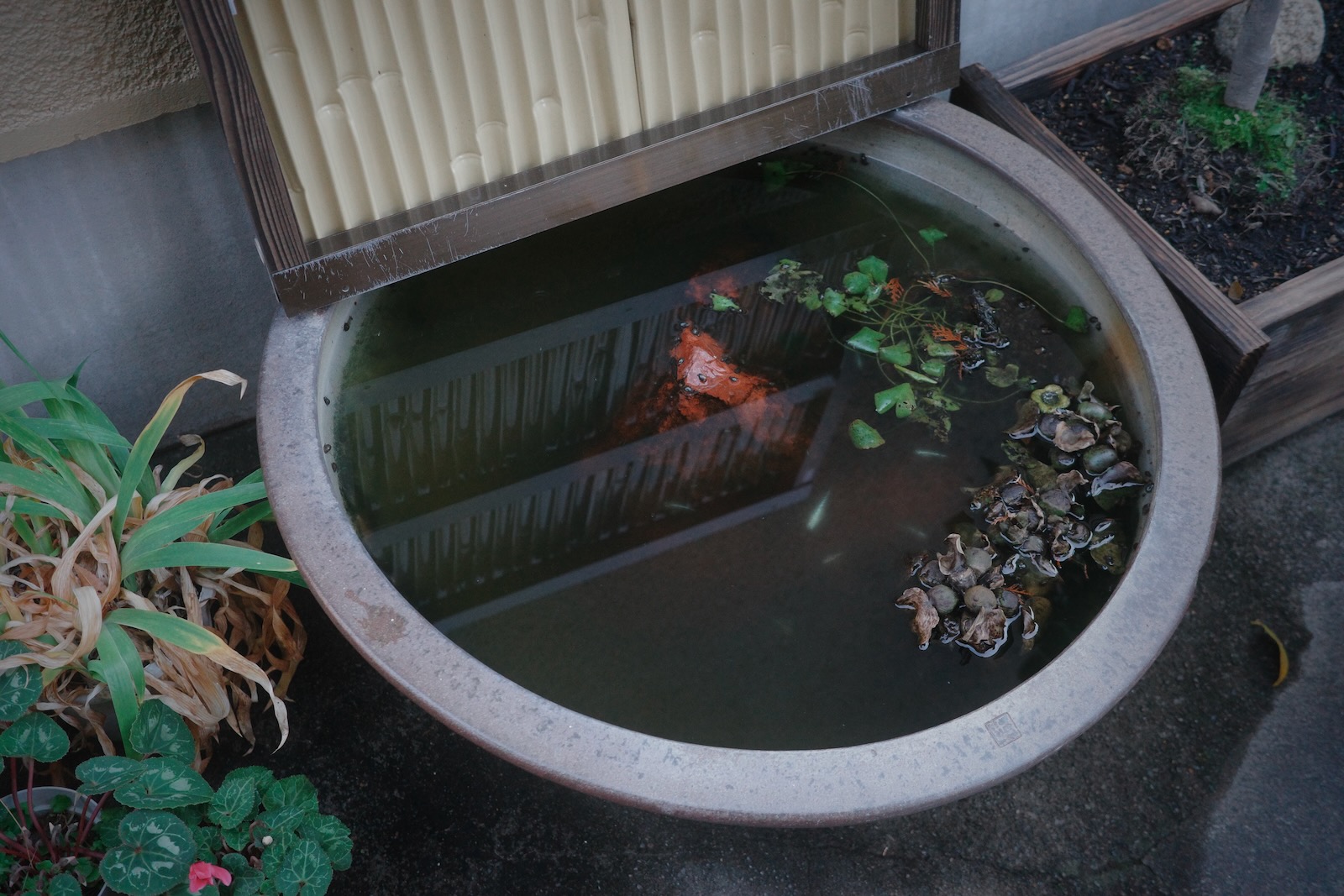 散歩