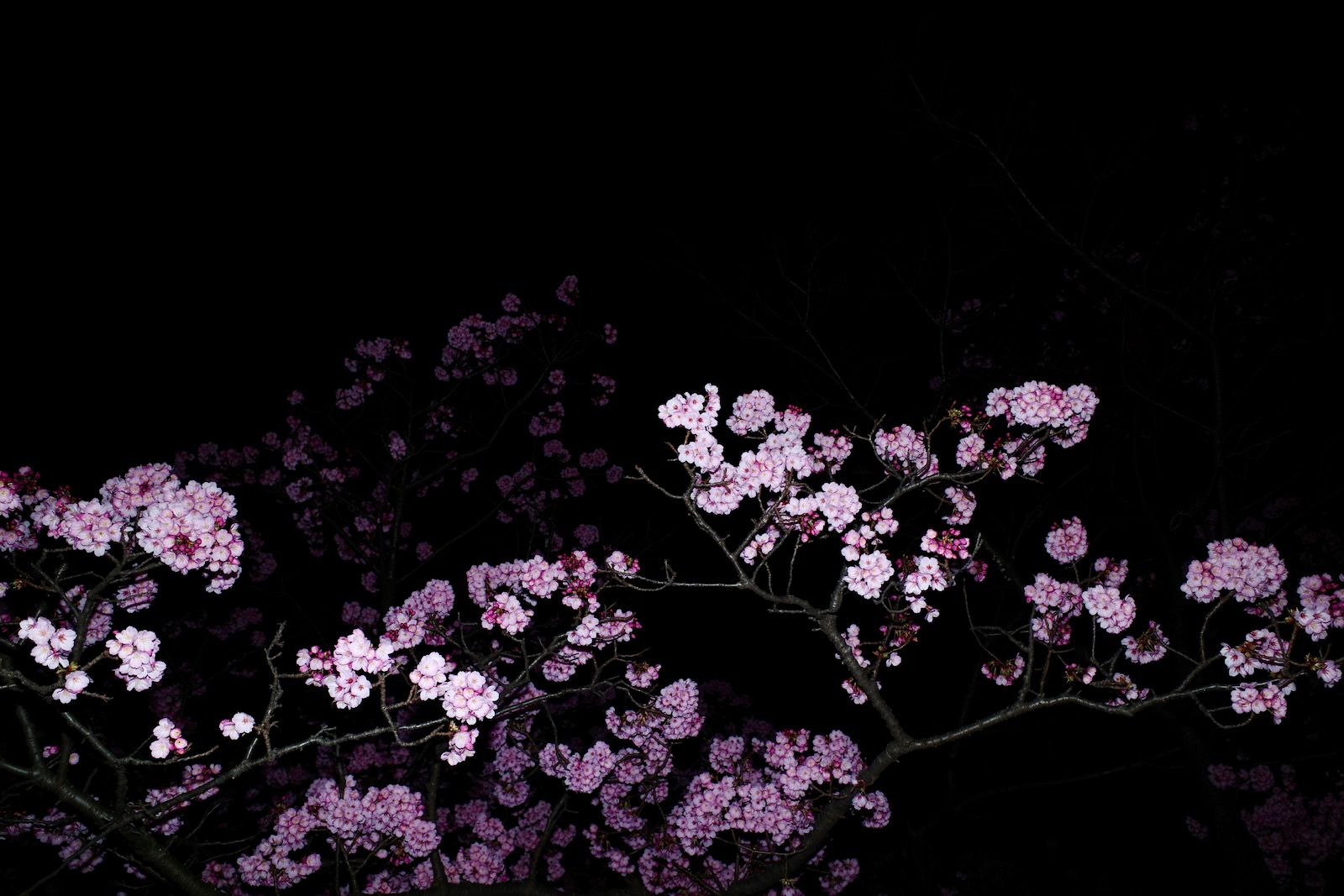 夜