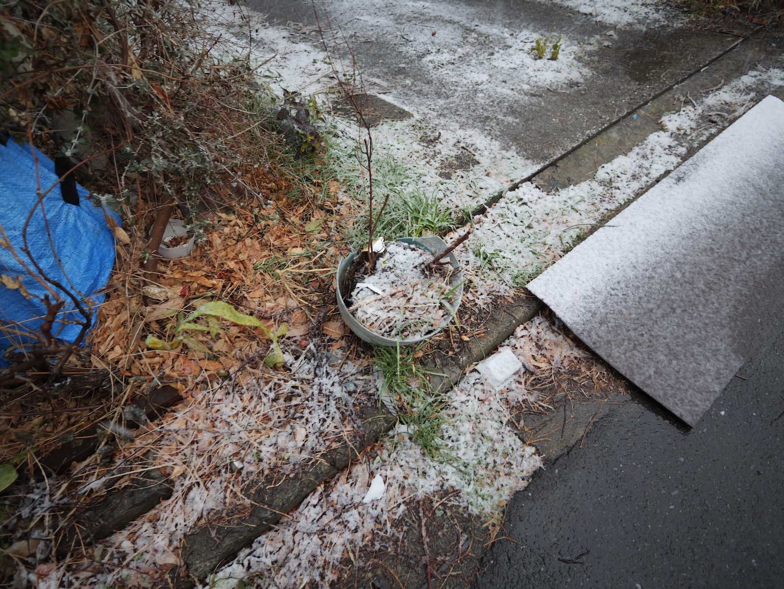 雪！！！