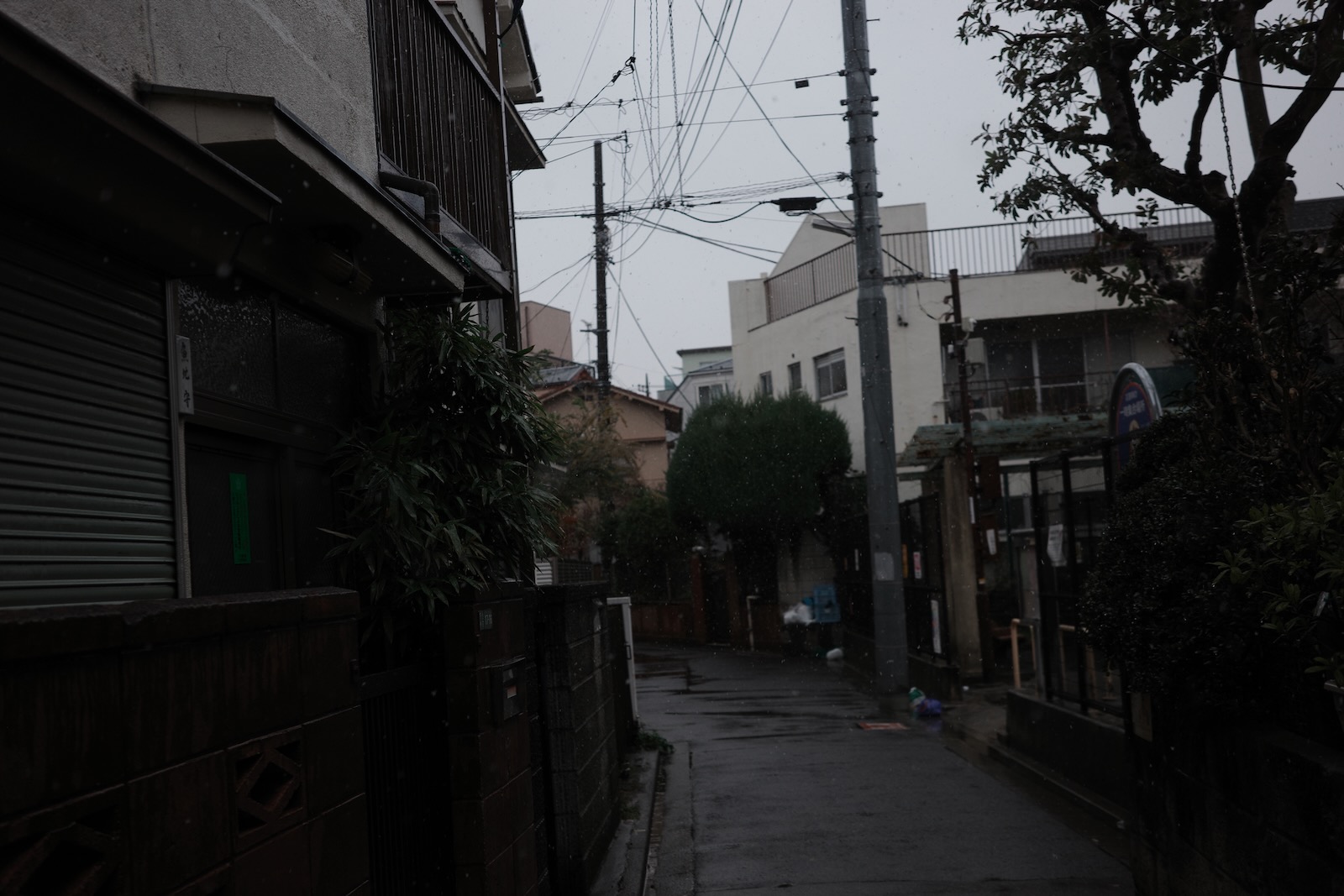 雨