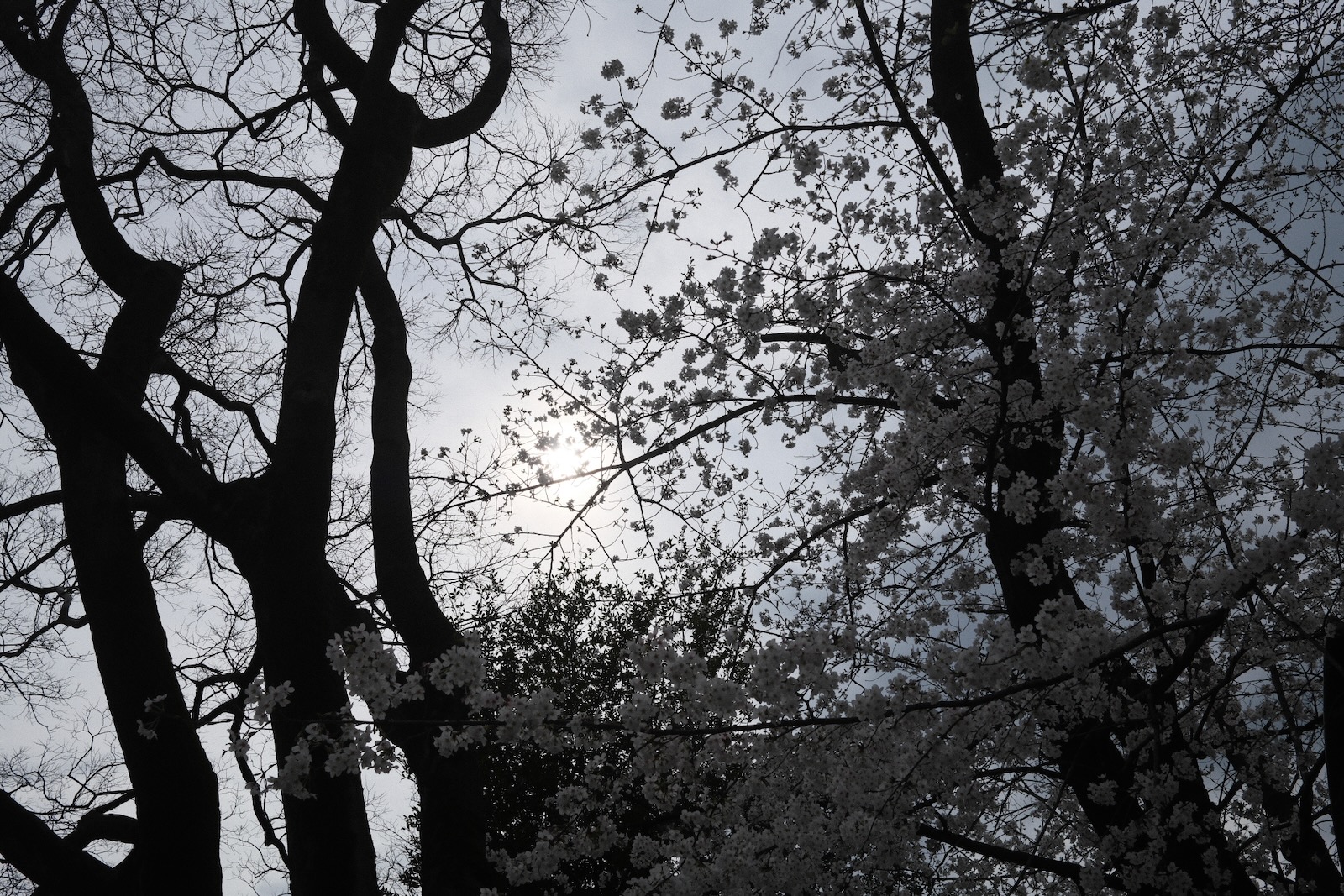上野公園