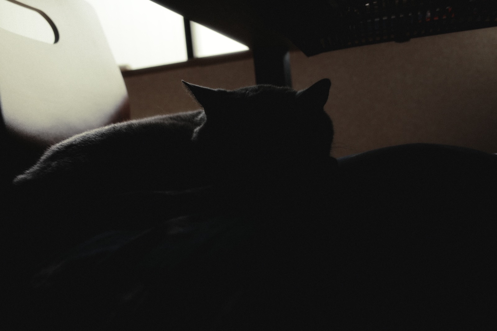 速写