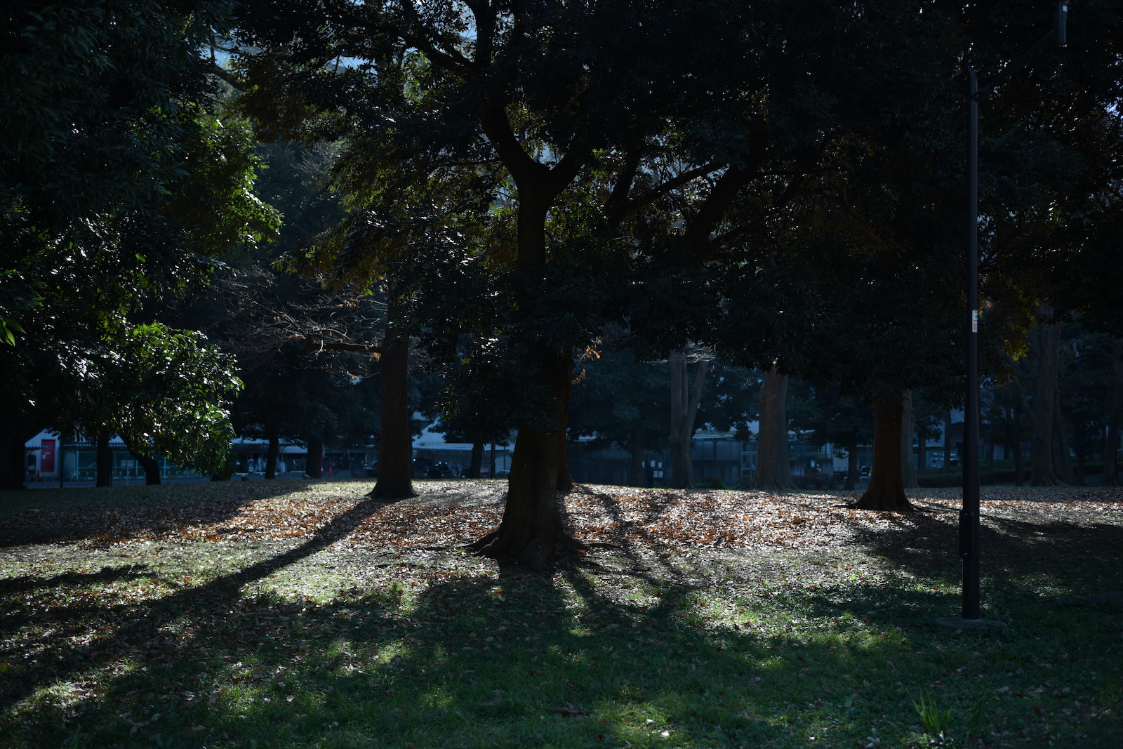 公園