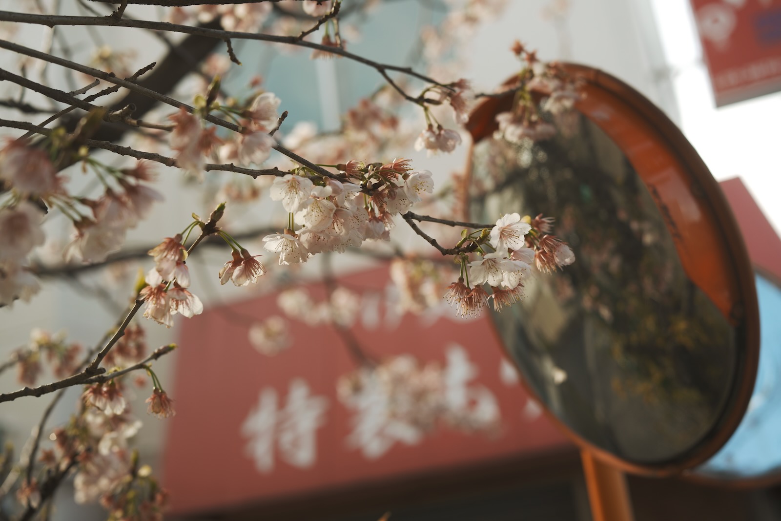 散歩