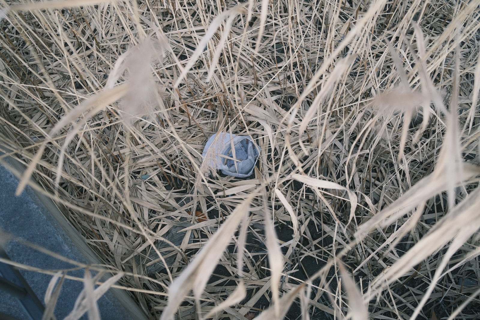 散歩