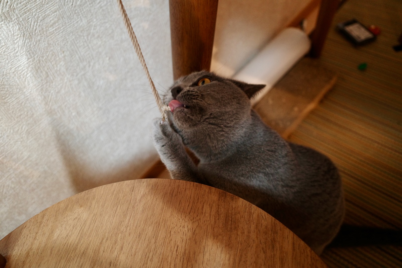 梅ちゃん
