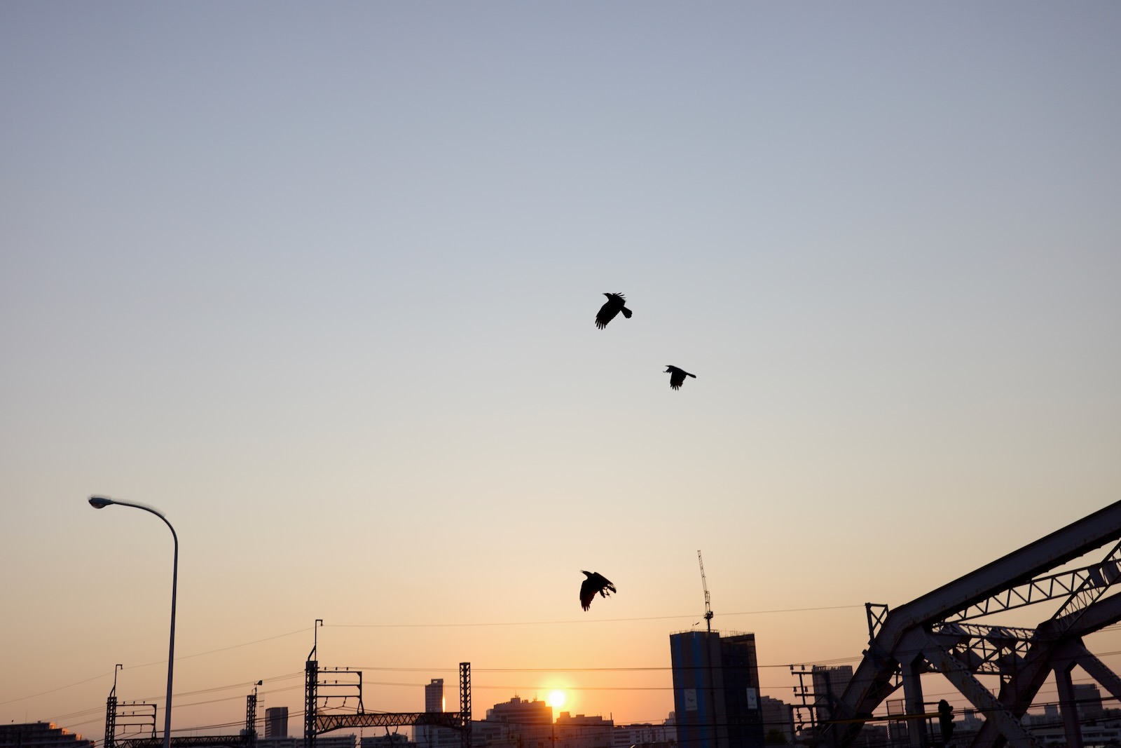 日没
