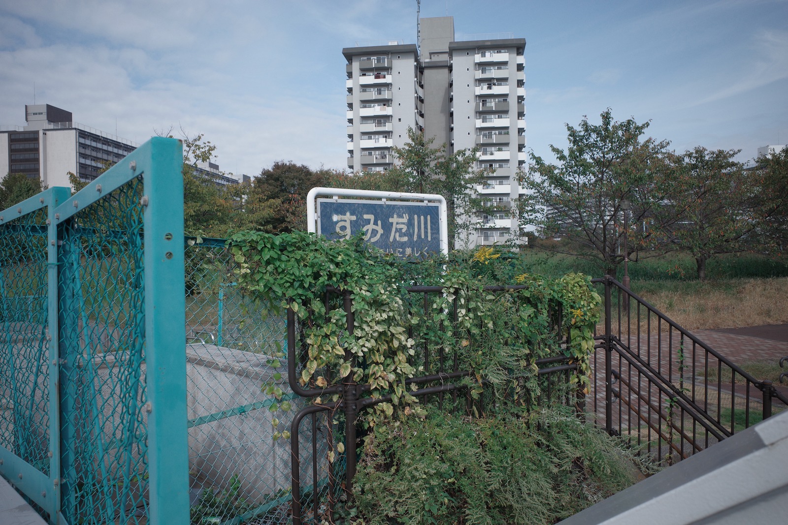 すみだ川
