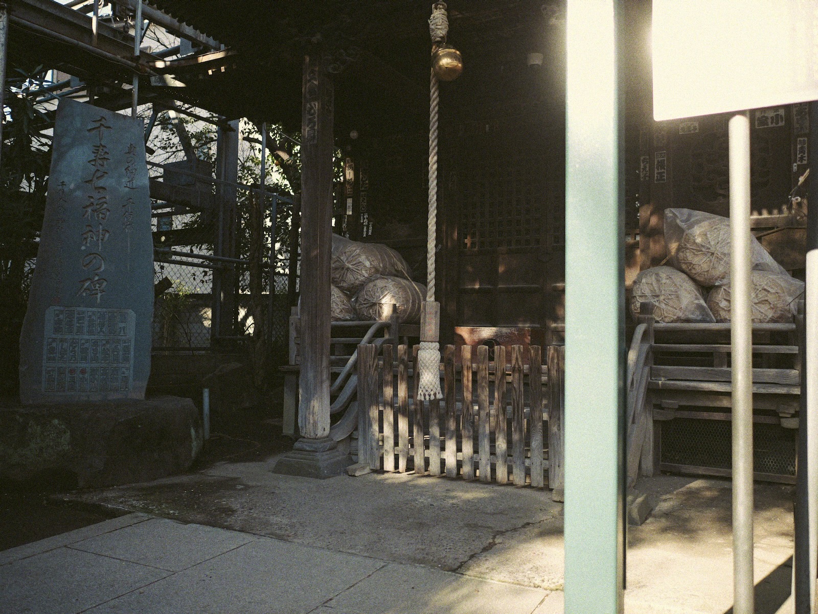 朝