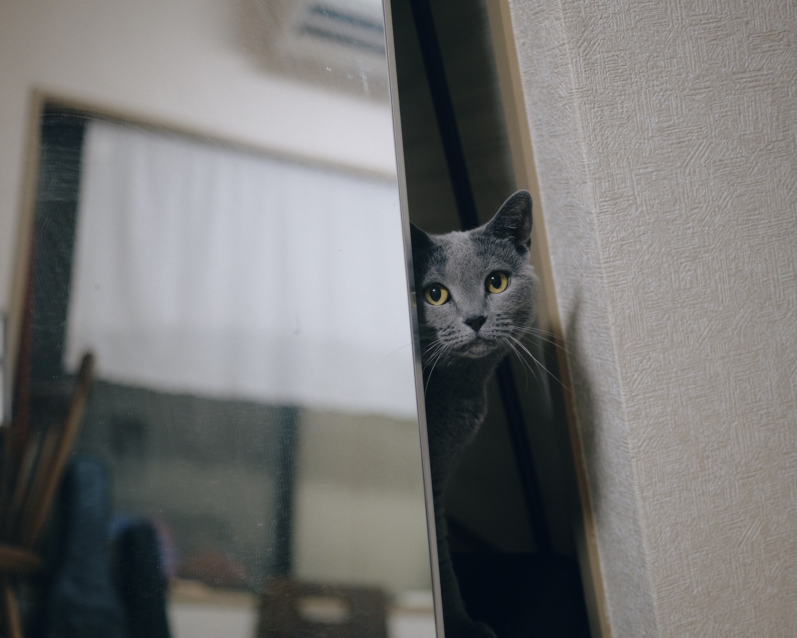 速写