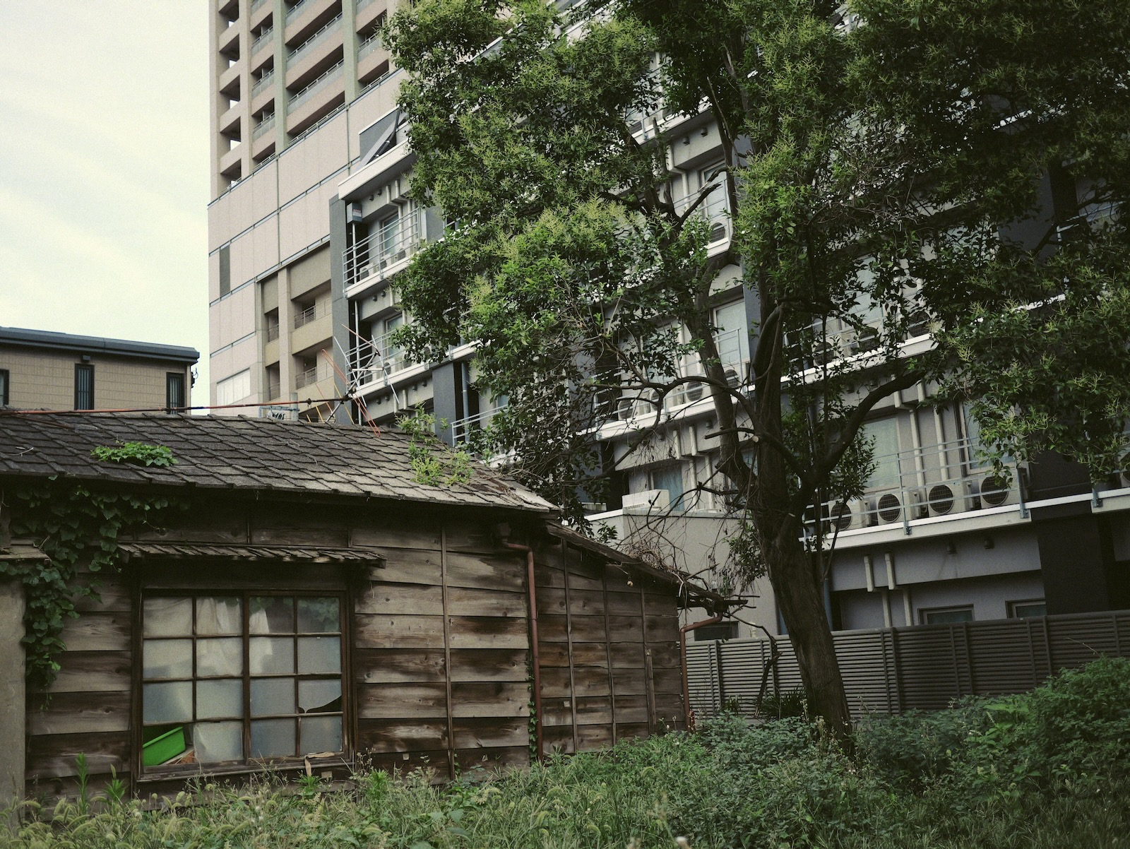 散歩