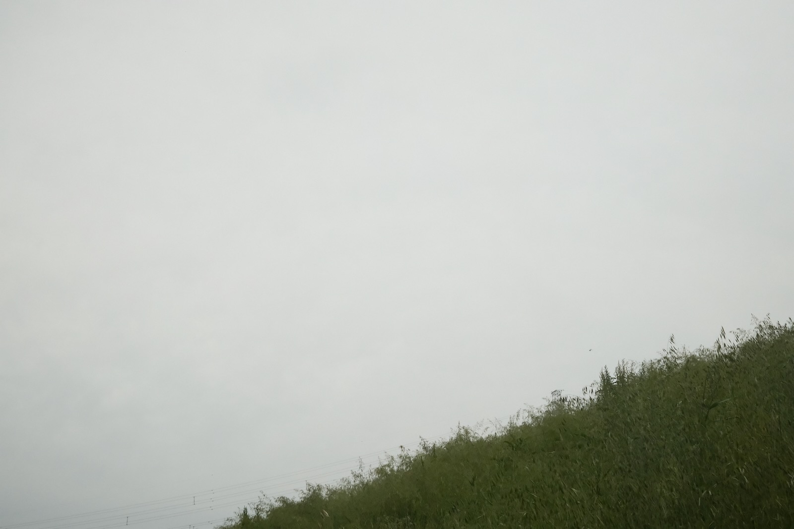 散歩