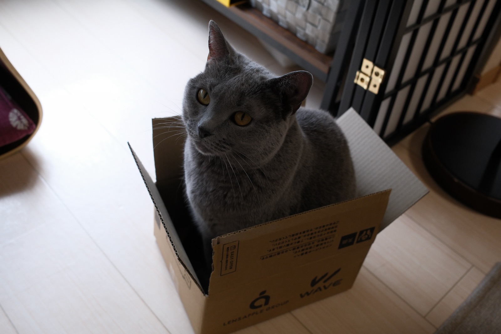梅ちゃん