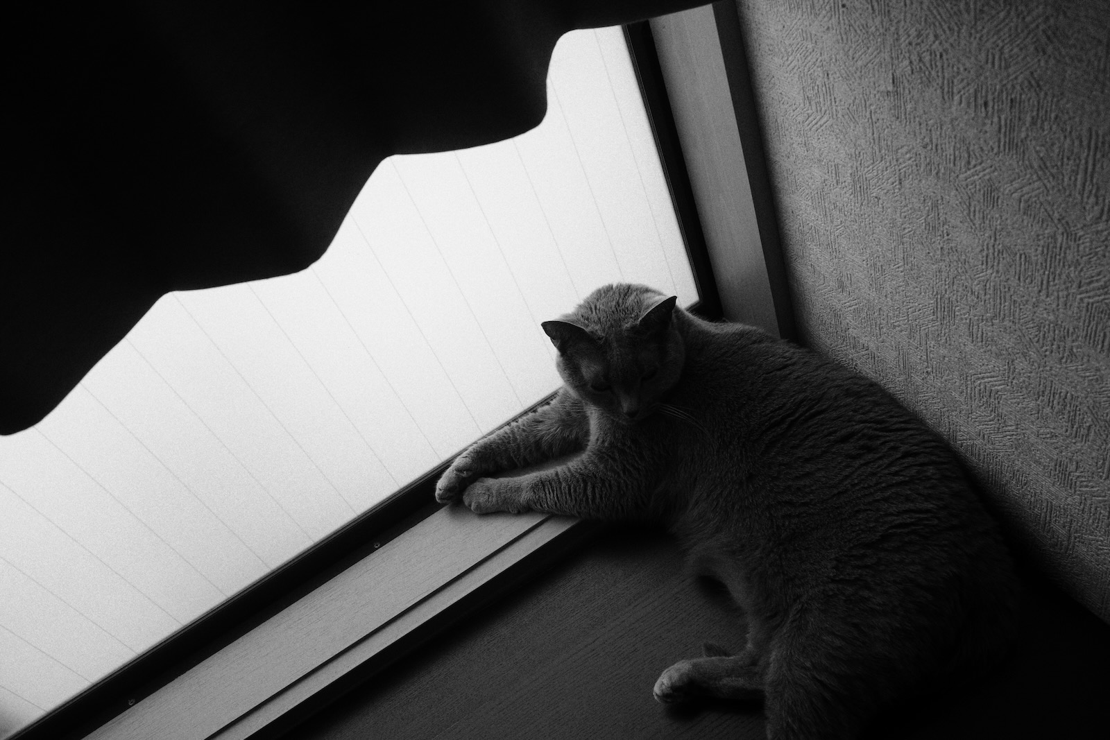 速写
