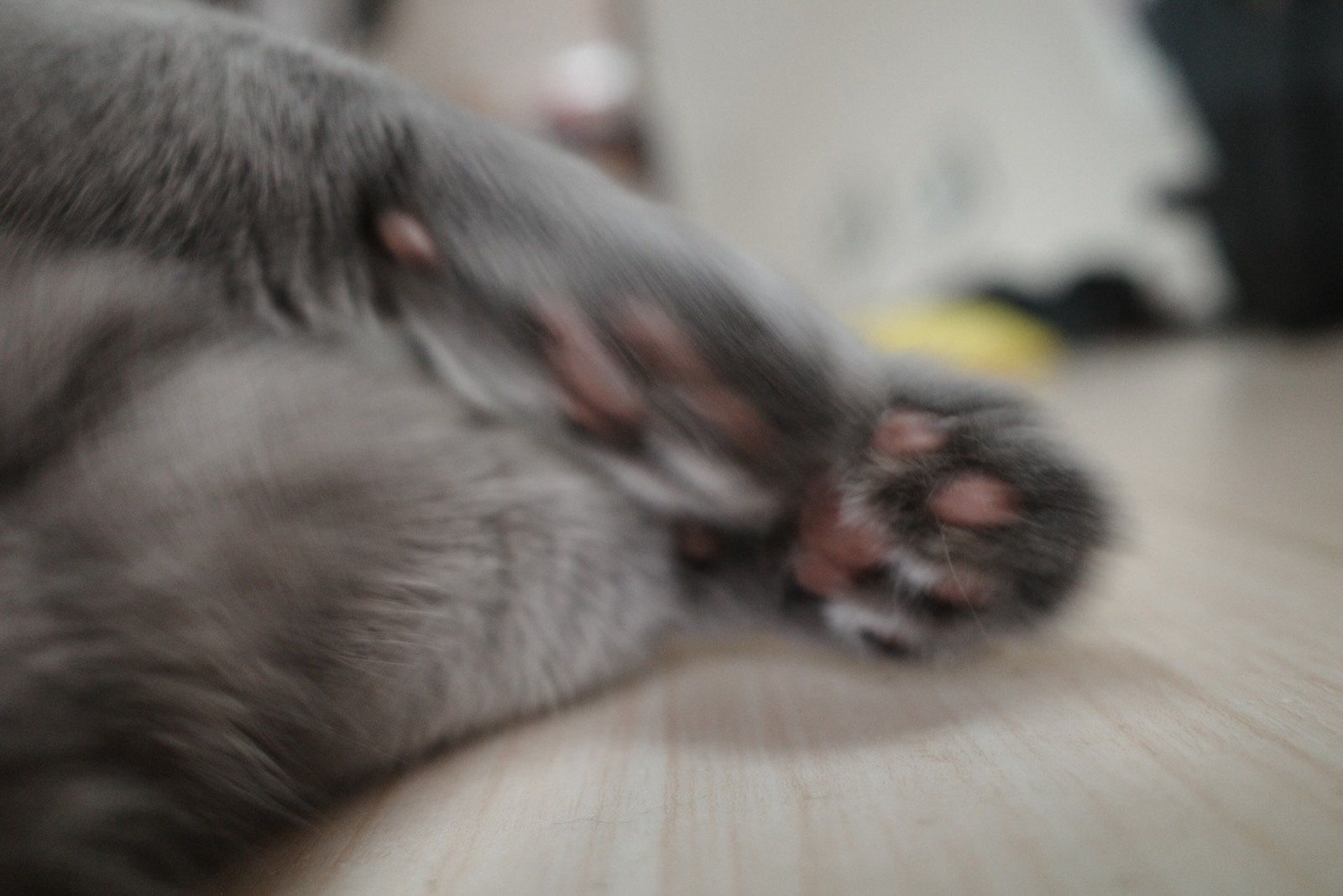 梅ちゃん