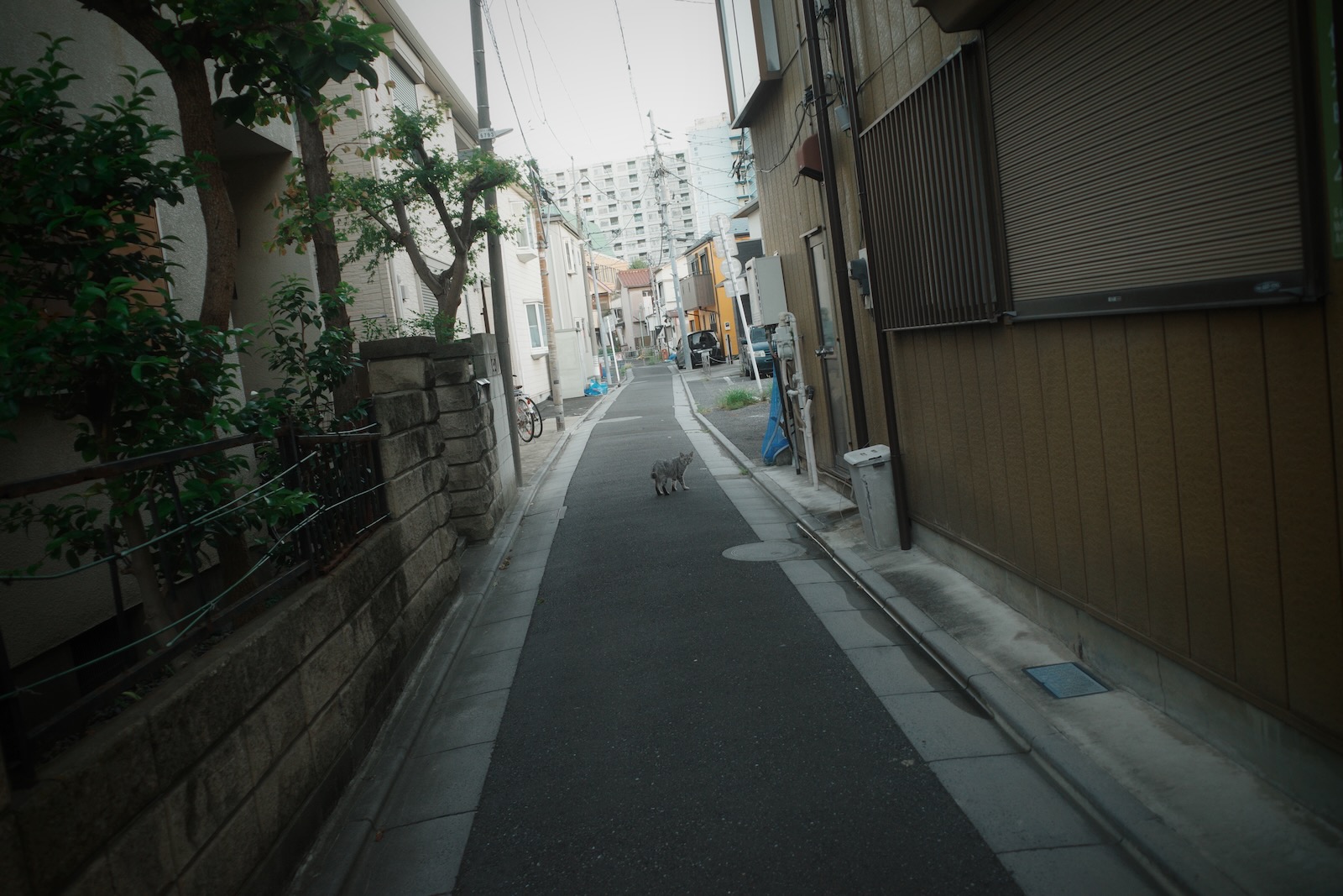居酒屋