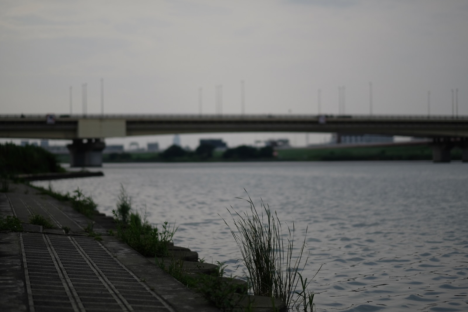 川沿い