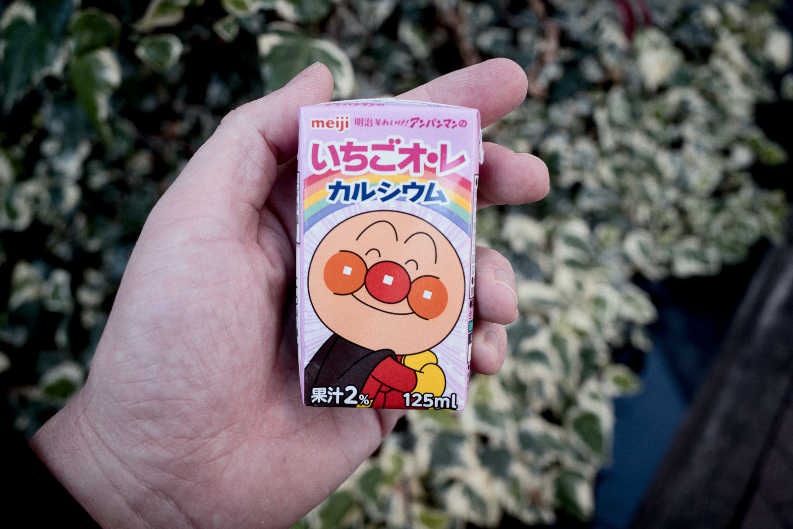 いちごオーレ（まだ飲んでないw